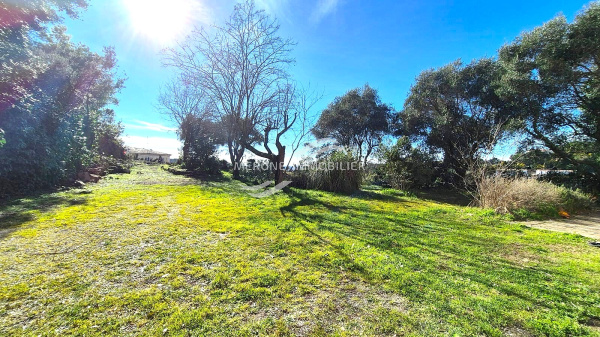 Offres de vente Terrain à batir Tanneron 83440