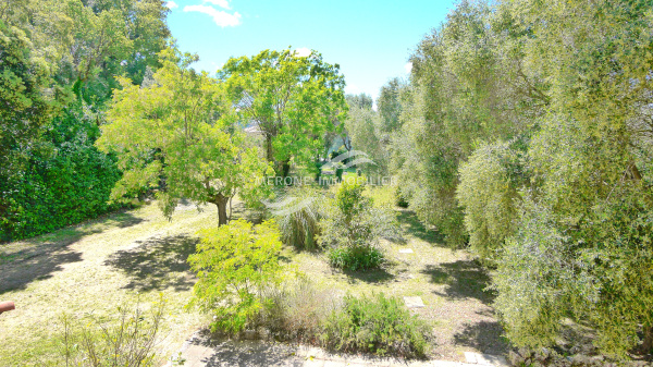 Offres de vente Terrain à batir Tanneron 83440