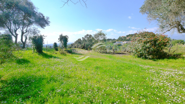 Offres de vente Terrain à batir Tanneron 83440